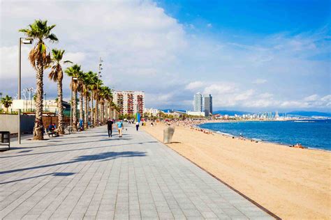 playa gay barcelona|Best Gay Beaches in Barcelona